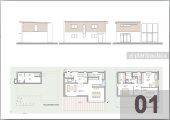 Pultdachhaus